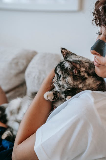 Adapting to Changes in Routine (image credits: pexels)