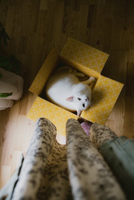 Unusual Litter Box Behavior (image credits: pexels)