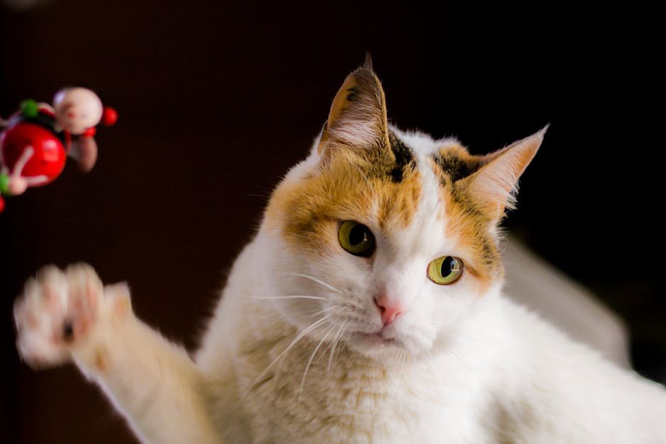Grooming You: A Familial Gesture (image credits: pexels)