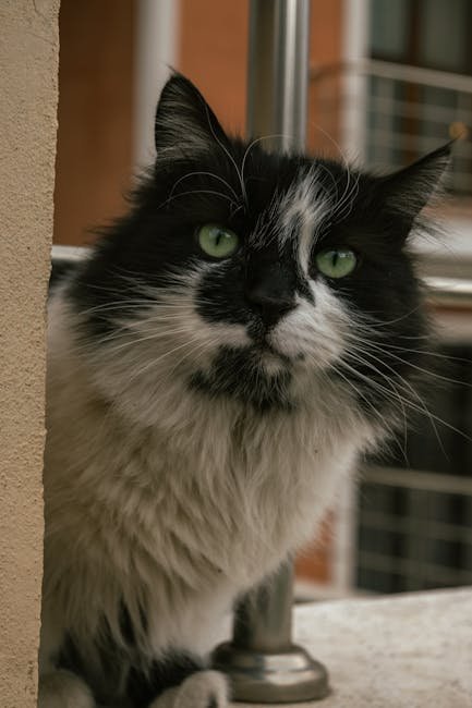Chattering at Birds (image credits: pexels)