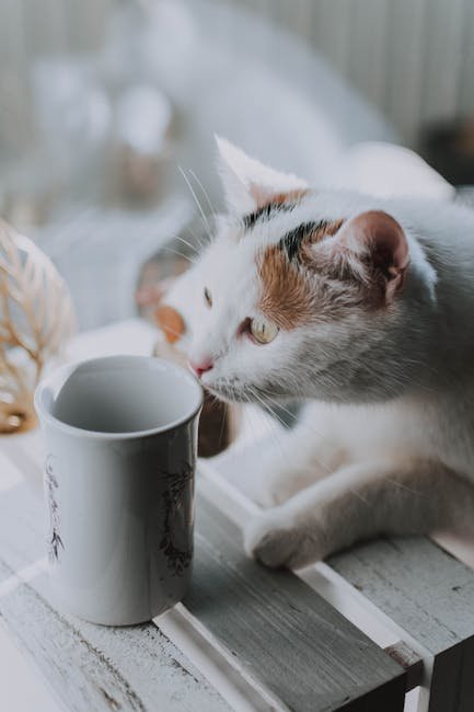 Drinking from the Faucet (image credits: pexels)