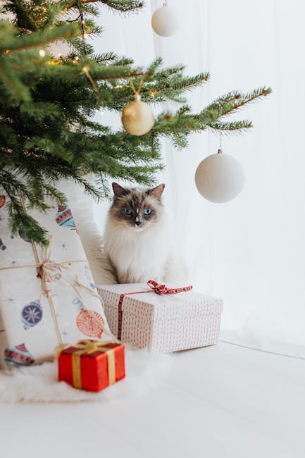 Bringing Gifts: Tokens of Affection (image credits: pexels)