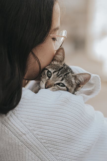 Following You: A Sign of Affection (image credits: pexels)