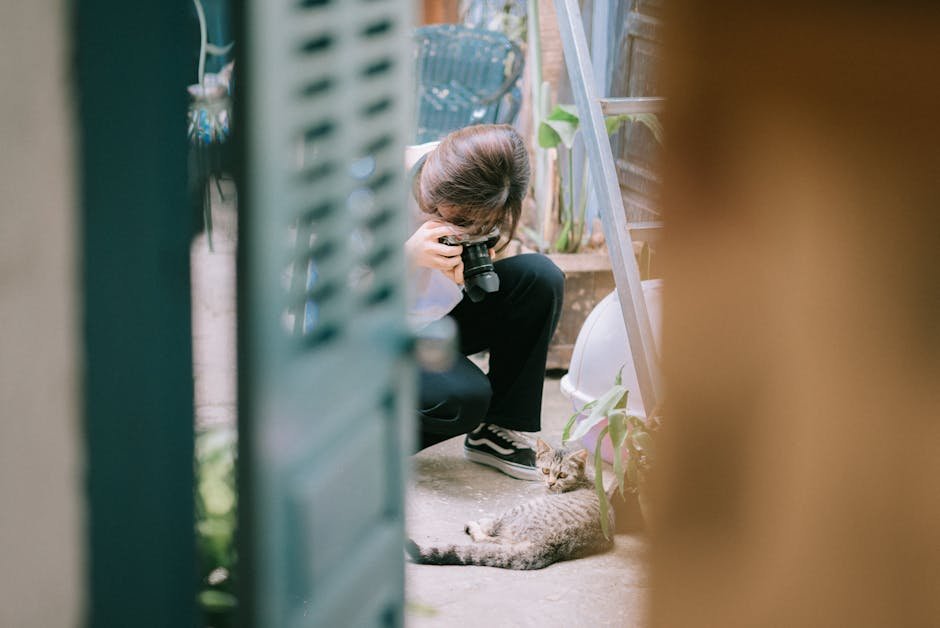 Cat Cameras with Treat Dispensers (image credits: pexels)