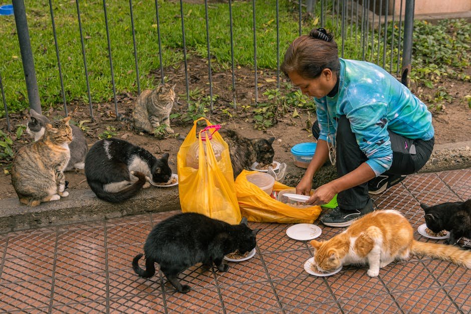 Best Friends Animal Society: Leading the No-Kill Movement (image credits: pexels)