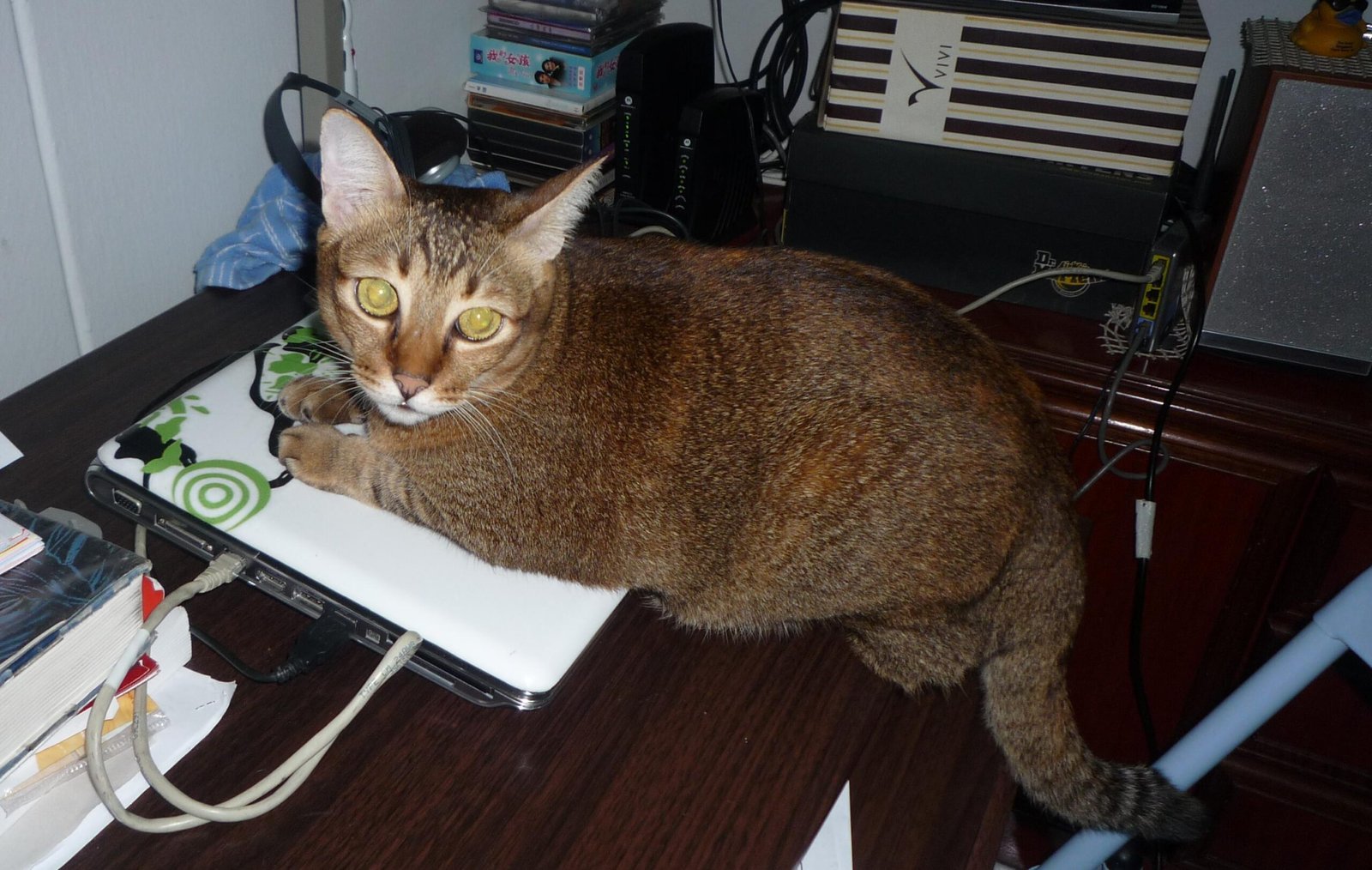 8. Lying on Your Stuff (image credits: wikimedia)