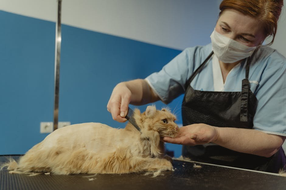 Feline Longevity and Health (image credits: pexels)
