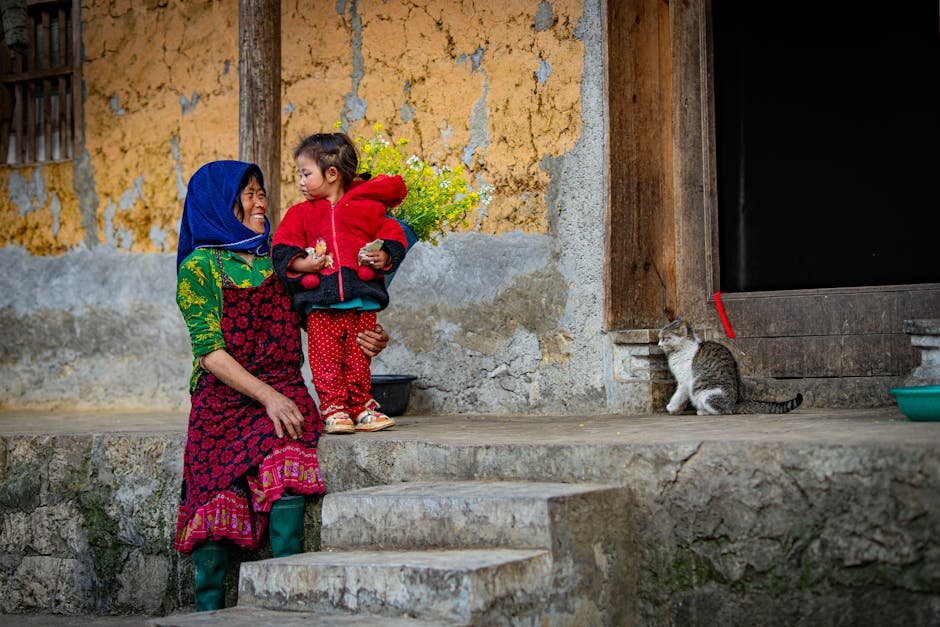 5. Houtong, Taiwan: The Cat Village (image credits: pexels)