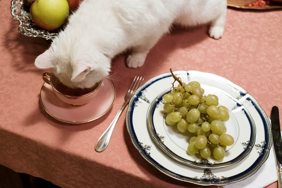 Grapes and Raisins (image credits: pexels)