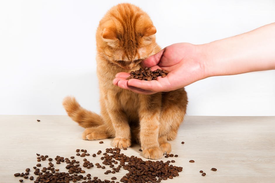 Caffeine (image credits: pexels)