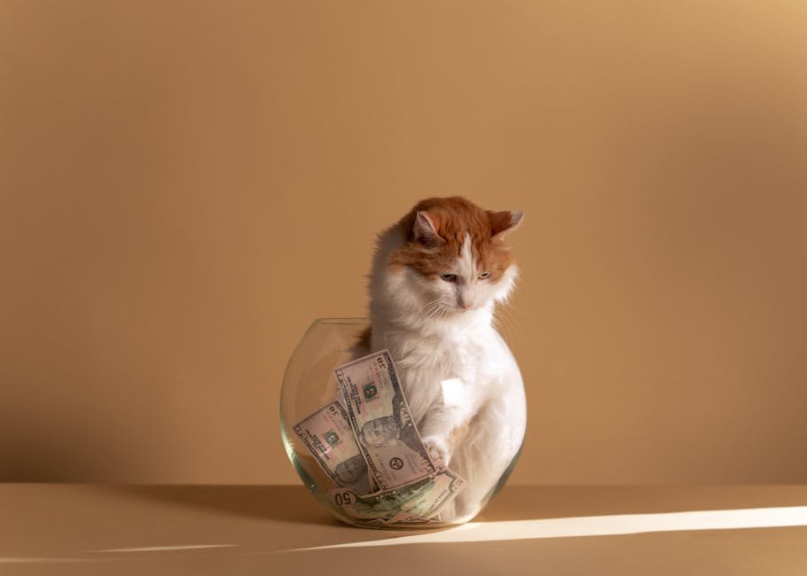 Utilize Discounts and Rewards Programs (image credits: pexels)