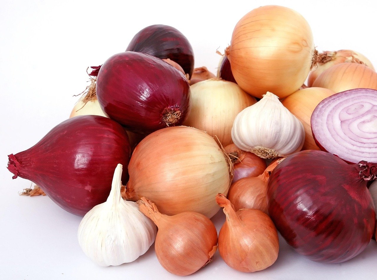 Onions and Garlic: Flavorful but Dangerous (image credits: pixabay)