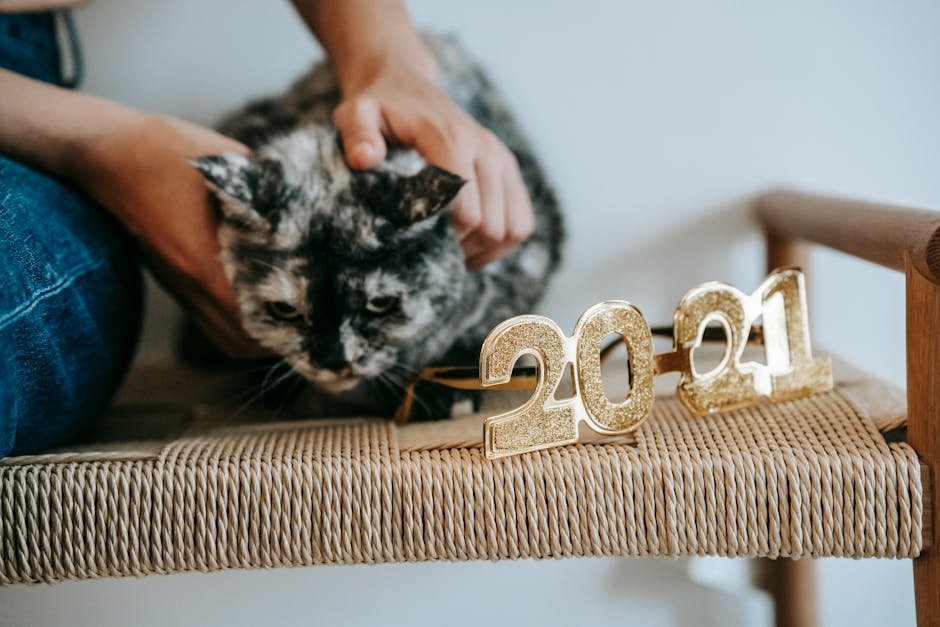 Dealing with Setbacks (image credits: pexels)