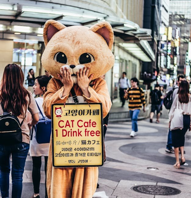 Feline Friends Café: A Community of Cat Lovers (image credits: pexels)