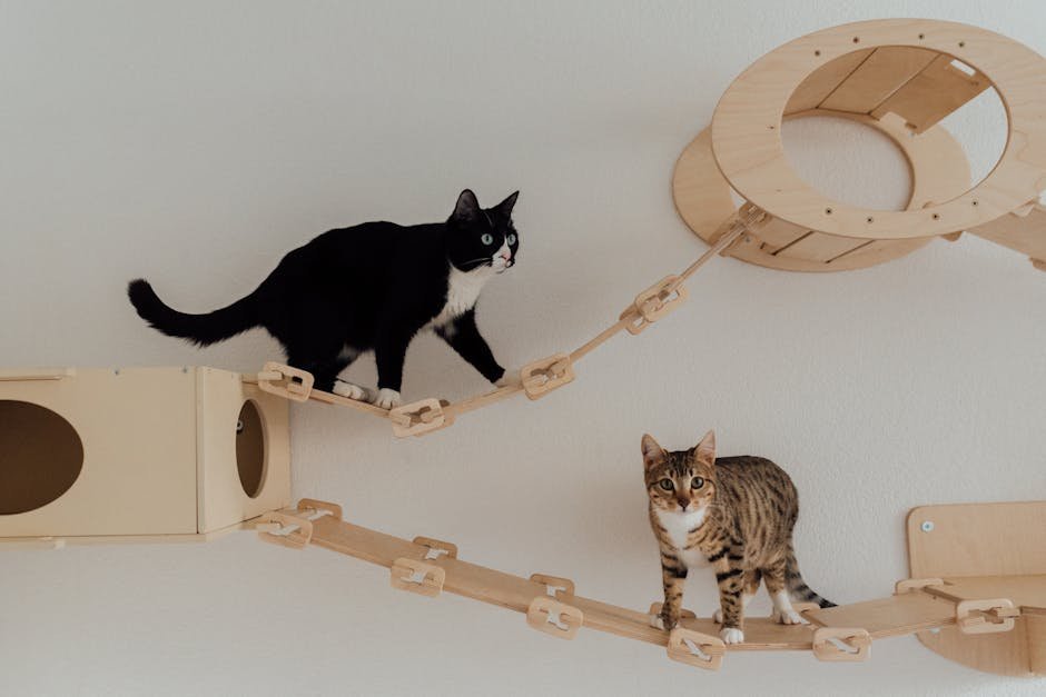 Whisker Woods: A Forest of Feline Fun (image credits: pexels)