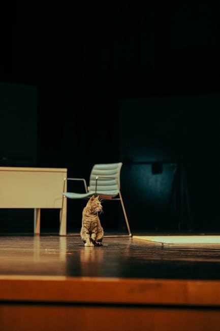 The 2019 Tony Awards: A Cat's Unexpected Encores (image credits: pexels)