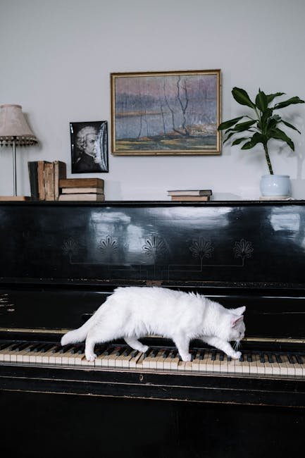 6. Classic Cats –