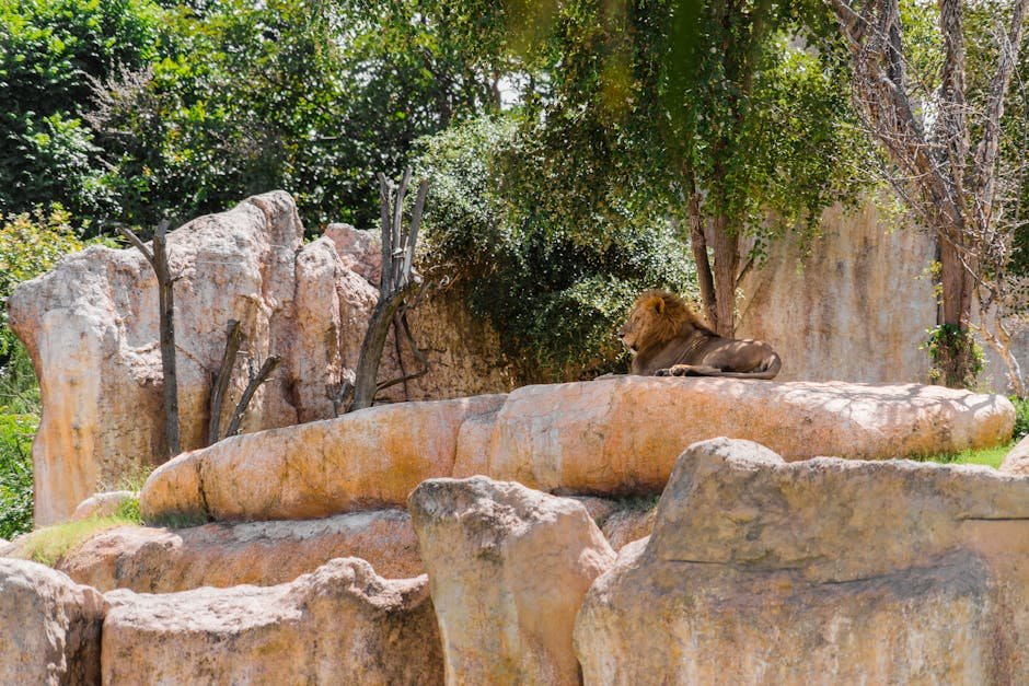 The Role of Zoos and Sanctuaries (image credits: pexels)