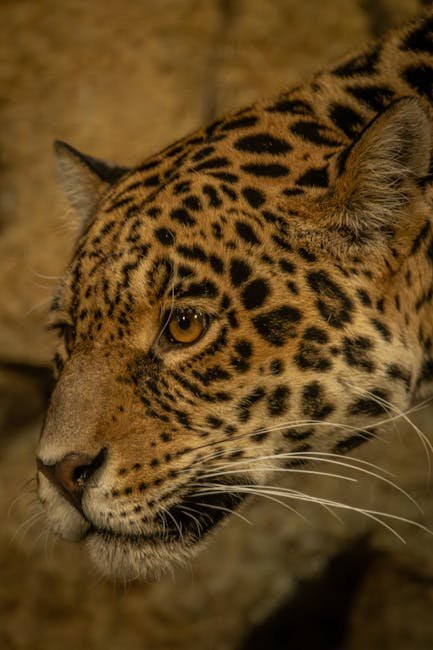 Endangered Wildlife Trust's