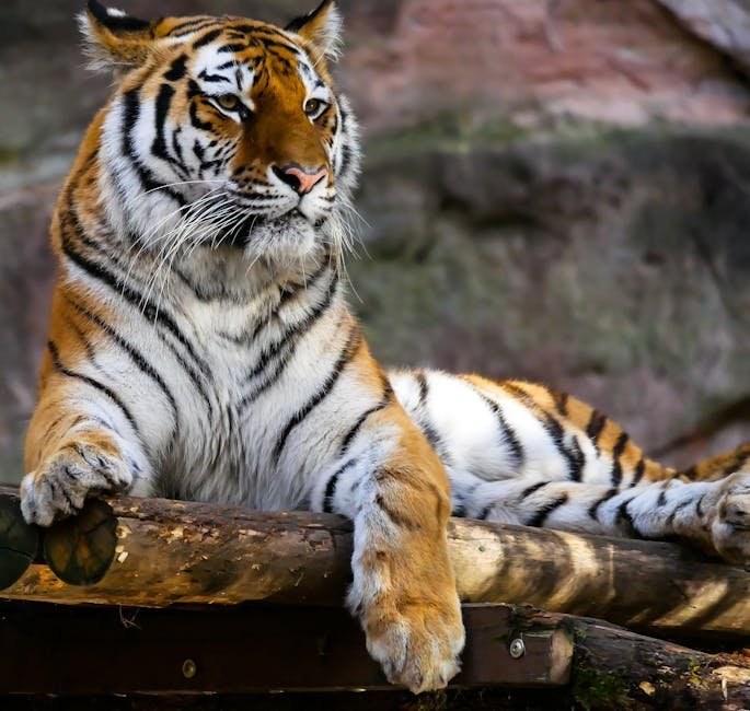 Global Tiger Forum's