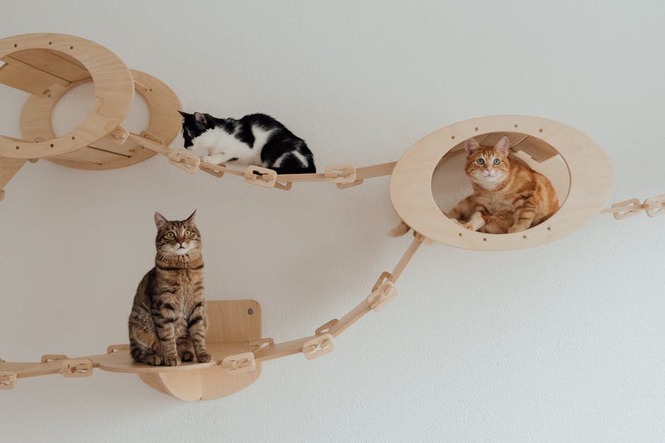 Interactive Cat Playgrounds: A New Dimension of Fun (image credits: pexels)
