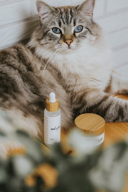 Luxury Cat Spas: Pampering Your Feline Companion (image credits: pexels)