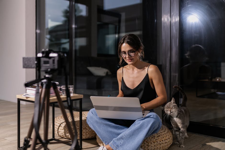 Virtual Cat Tours: Exploring the World from Home (image credits: pexels)