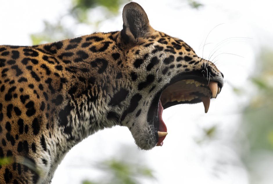 The Wild Jaguar: Spirit of the Rainforest (image credits: pexels)