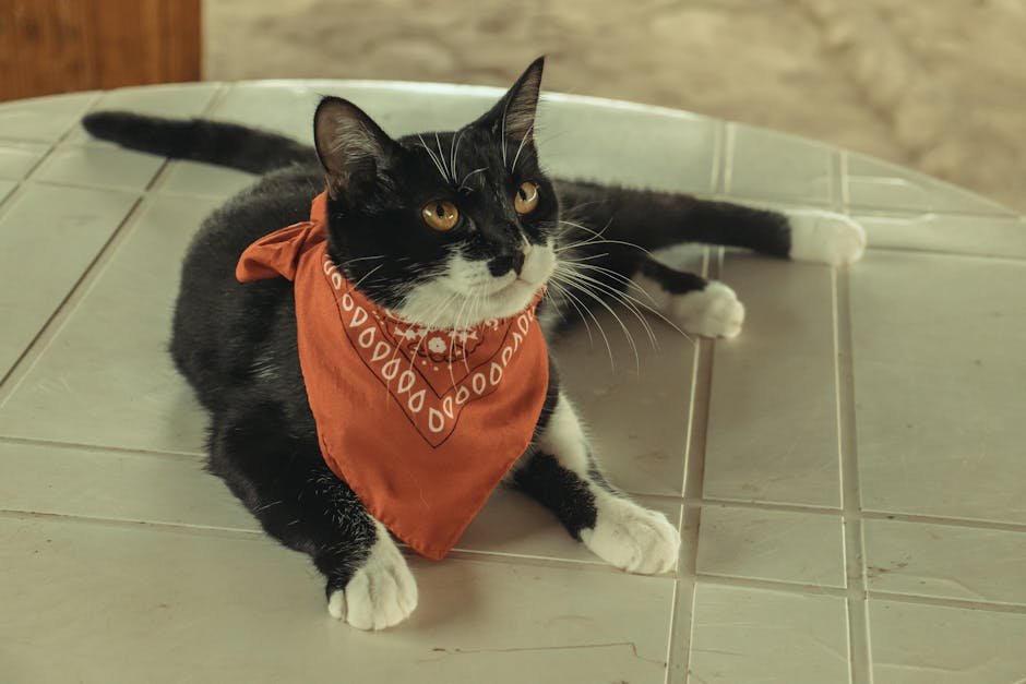 Stylish Bandanas for Casual Cool (image credits: pexels)