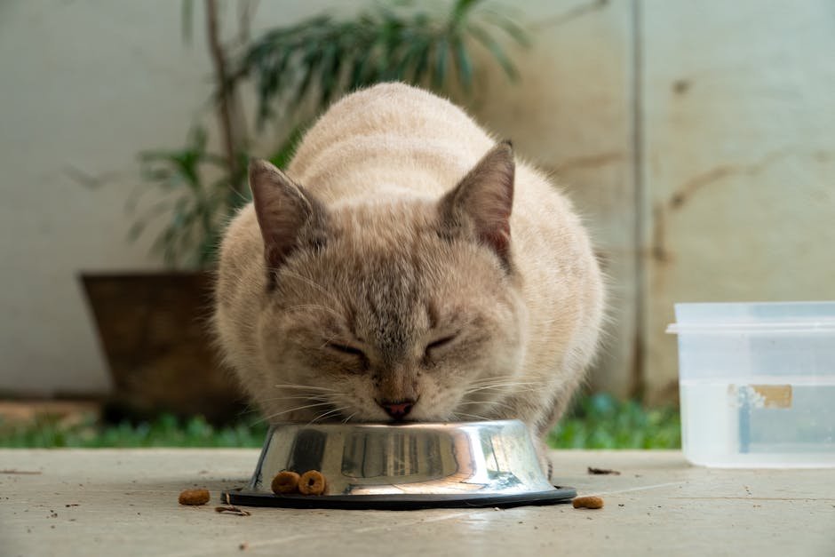 Inconsistent Feeding Schedules (image credits: pexels)