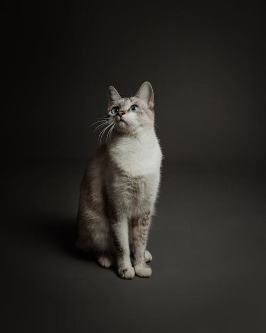 The Curious Conqueror (image credits: pexels)