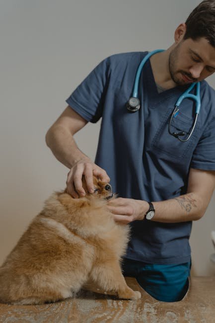 Consult With Your Veterinarian (image credits: pexels)