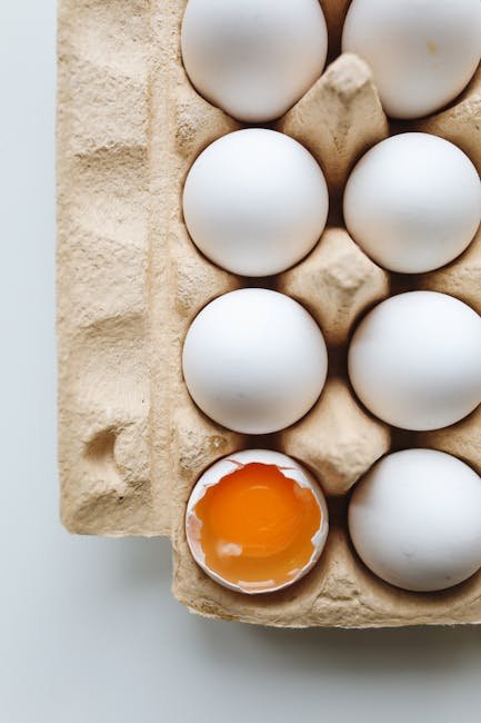 Explore Novel Protein Sources (image credits: pexels)