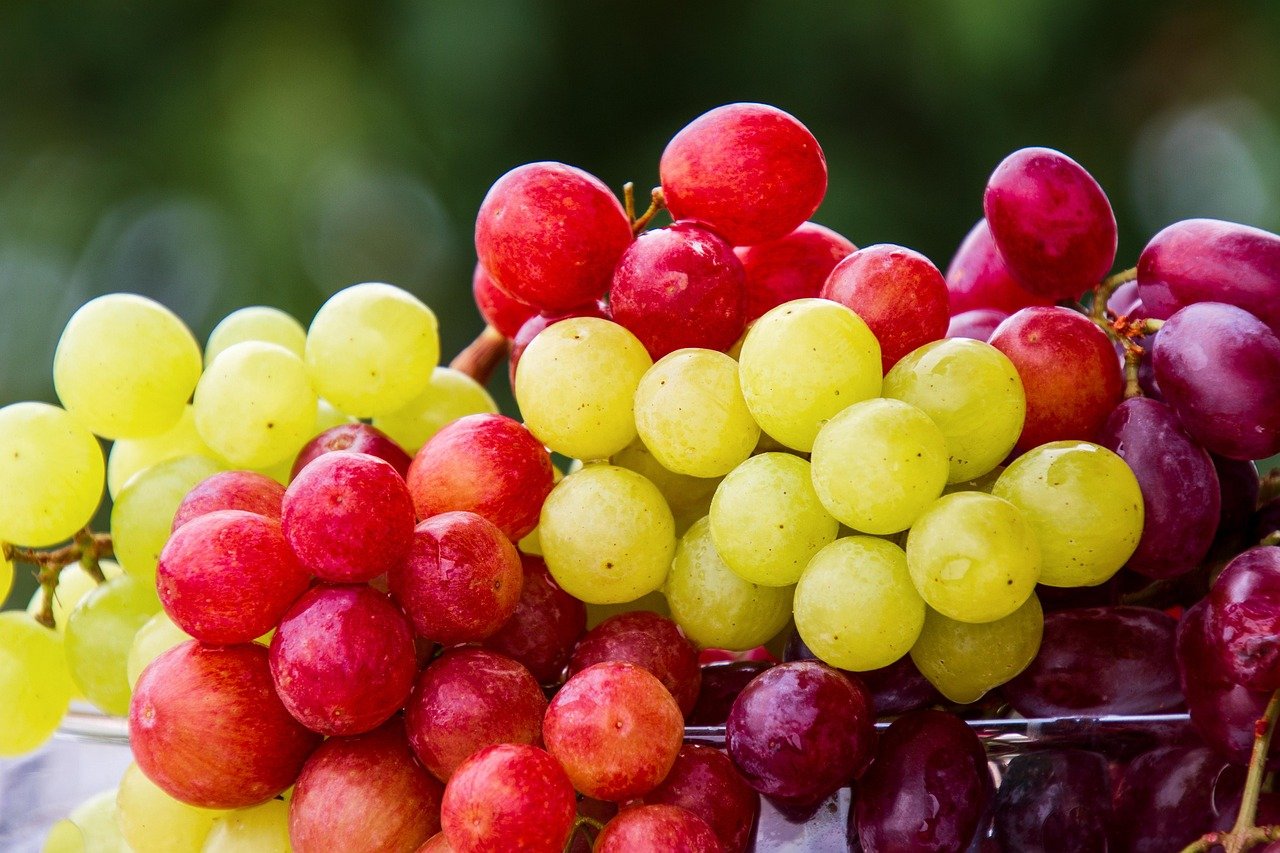 3. Grapes and Raisins: Sweet Snacks with Sour Consequences (image credits: pixabay)