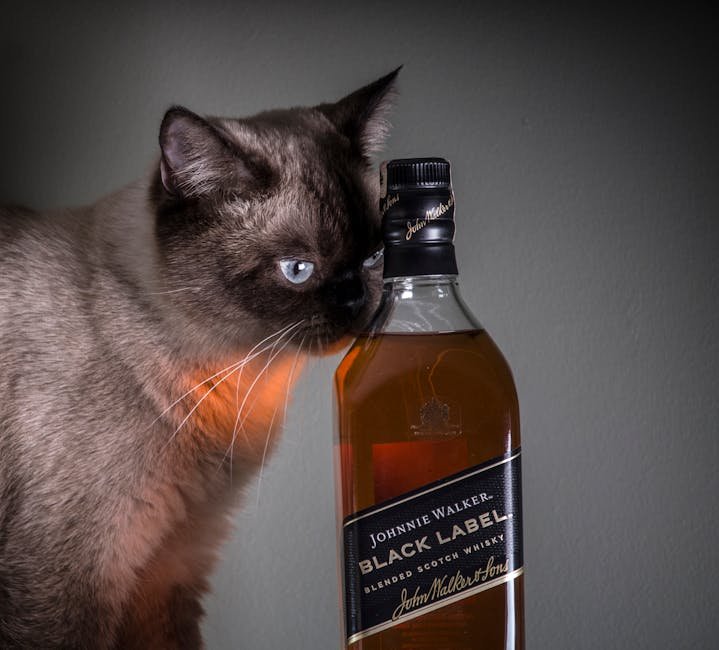 4. Alcohol: A Social Beverage Turned Hazardous (image credits: pexels)