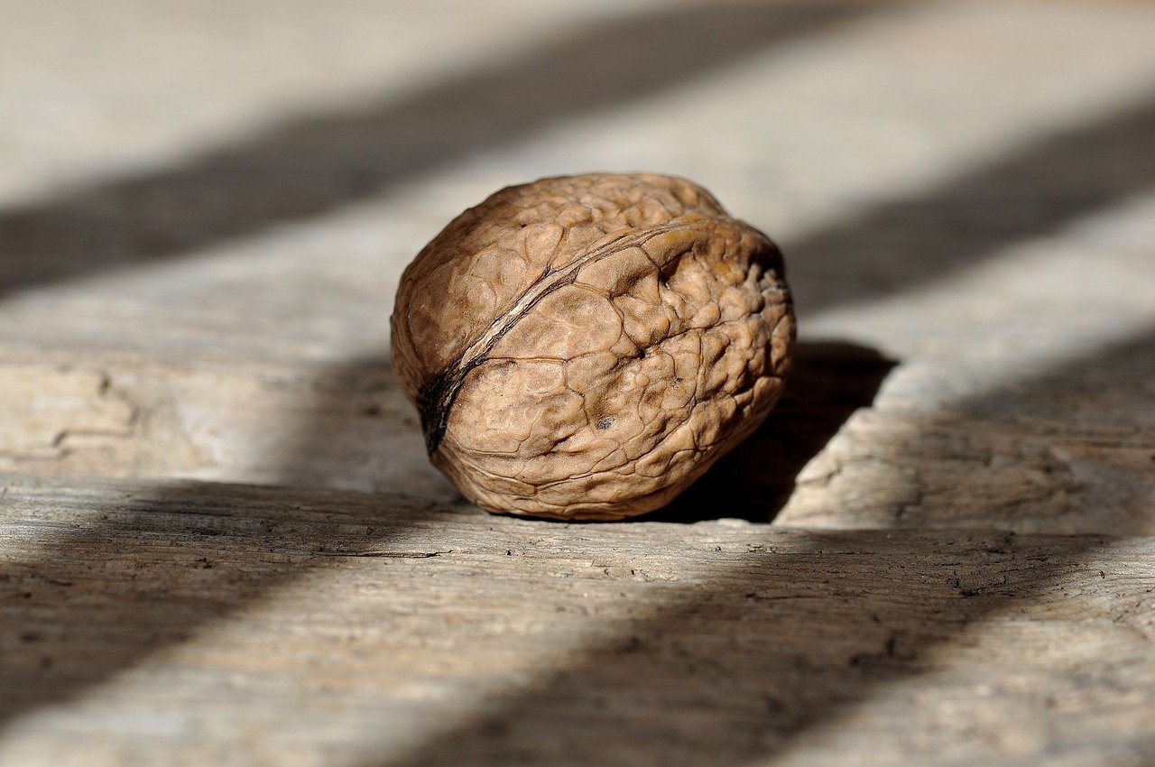 10. Nuts: Crunchy Treats with Unexpected Hazards (image credits: pixabay)