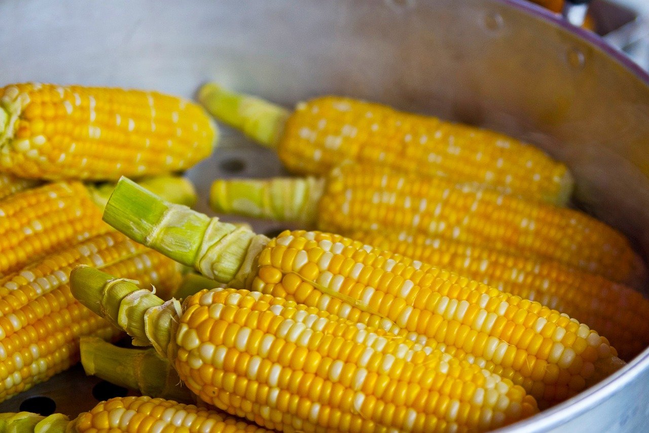 19. Corn: A Common Ingredient with Limited Benefits (image credits: pixabay)