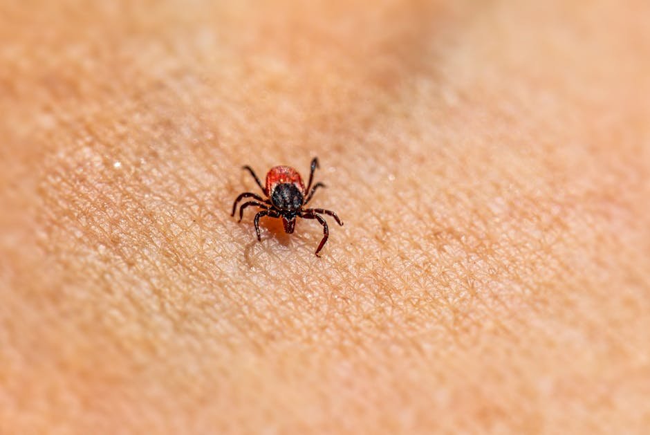 Failing to Research Flea and Tick Prevention Products (image credits: pexels)