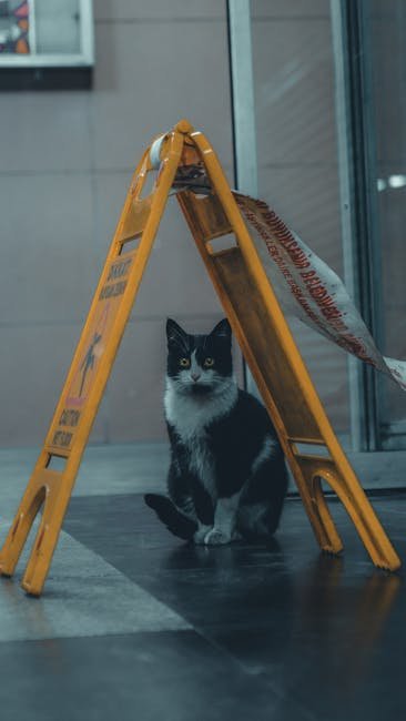 Fat Trimmings and Bones: A Chewy Hazard (image credits: pexels)