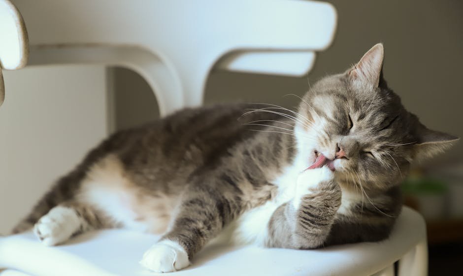 Cleaning Products: Hidden Dangers in Plain Sight (image credits: pexels)