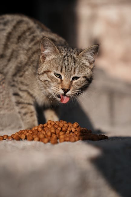 Consult with Your Veterinarian (image credits: pexels)