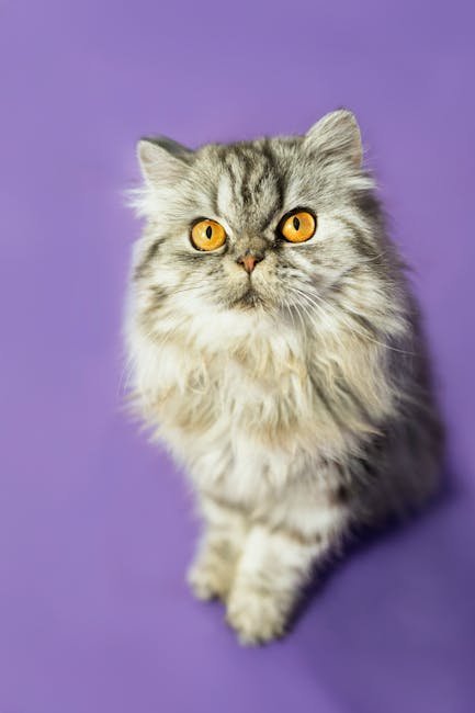 Withdrawal and Hiding (image credits: pexels)
