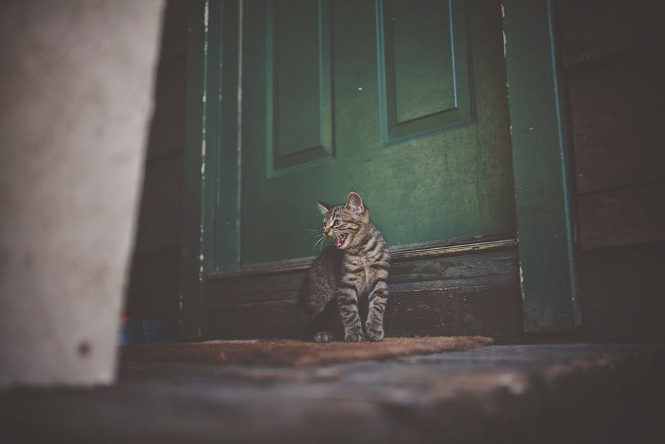 Loss of Interest in Social Interaction (image credits: pexels)