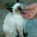 Diet Isn’t Working