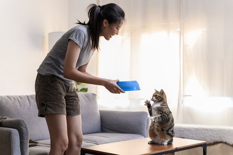 Understanding Your Cat's Limits (image credits: pexels)