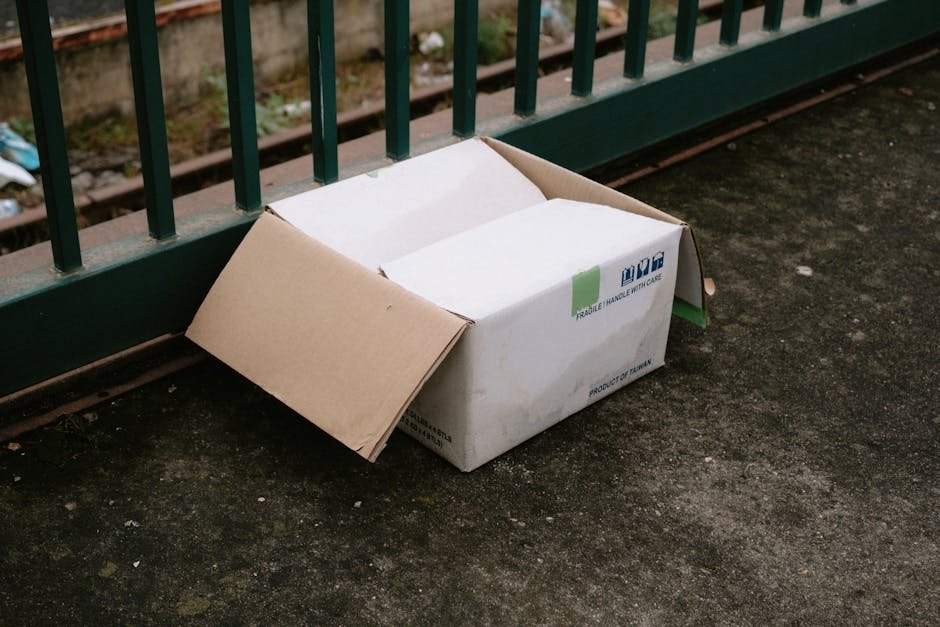 Maintain a Clean Litter Box (image credits: pexels)