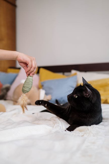 Encourage Social Interaction (image credits: pexels)
