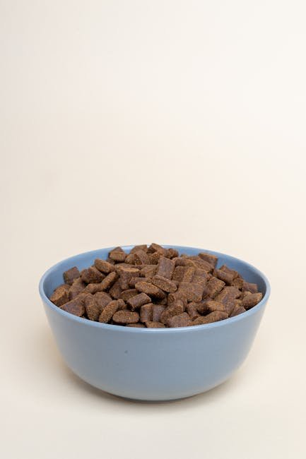 Nutrition's Impact on Mood (image credits: pexels)