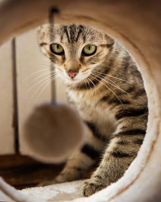 Interactive Toys That Do the Trick (image credits: pexels)