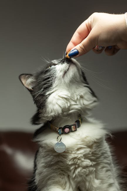 Using Treats as a Motivational Tool (image credits: pexels)